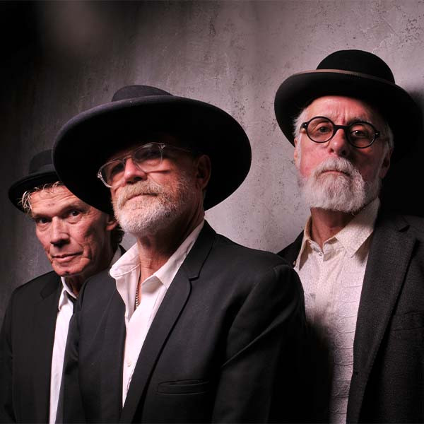 Mojo Monkeys WEB.jpg